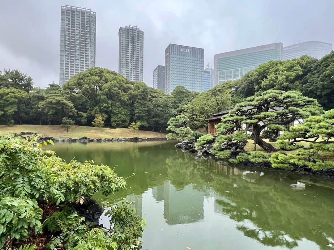 依田司さんのインスタグラム写真 - (依田司Instagram)「9月4日（月） 浜離宮恩賜庭園から。 広大な日本庭園の中央に位置する「潮入の池」は都内にある江戸の庭園では、唯一現存する海水の池です。東京湾の水位の干満に従って水門を開閉し、池の水の出入りを調整しています。池にはボラをはじめ海水魚も生息していて、朝から元気にぴょんぴょん跳ねていました。 また、お花畑では、ビル群を背景に、およそ２０万本のキバナコスモスが見ごろを迎えています。鮮やかな色合いが素敵。見頃は今月中旬頃まで。  #浜離宮恩賜庭園 #依田さん #依田司 #お天気検定 #テレビ朝日 #グッドモーニング #気象予報士 #お天気キャスター #森林インストラクター #グリーンセイバーアドバンス #プロジェクトワイルド #IPCC伝導者 #japan #japantrip #japantravel #unknownjapan #japanAdventure #japanlife #lifeinjapan #instagramjapan #instajapan #療癒 #ilovejapan #weather #weathercaster #weatherforecast」9月4日 8時54分 - tsukasa_yoda