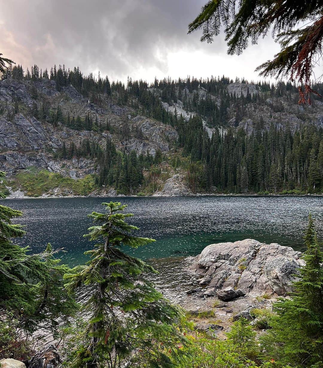 レイン・ウィルソンのインスタグラム：「I got to go into the woods of the great Pacific Northwest before the summer officially ended. These are a few of the things I saw. I need my batteries recharged in the Cascades every summer. Where is your soul-stirring place?」