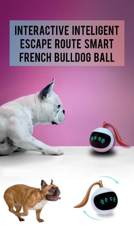 French Bulldogのインスタグラム：「💥NEW ARRRIVAL💥  Interactive Inteligent Escape Route Smart French Bulldog Ball 🥎  ✔️ Keep your furry friend entertained and occupied for hours with our USB-charged rolling ball. Adjustable speed levels ensure endless fun for your dog, and inteligent escape route guarantees your Frenchie a lot of fun and play!  ✔️ Imagine a world where your French Bulldog is endlessly entertained, a world where curiosity and excitement fill the air. That world is now a reality with our revolutionary "Interactive Inteligent Escape Route Smart French Bulldog Ball."  . . . . .  #frenchie #frenchiesofinstagram #frenchielove #frenchieoftheday #frenchiesociety #frenchbulldog #mycutedog」