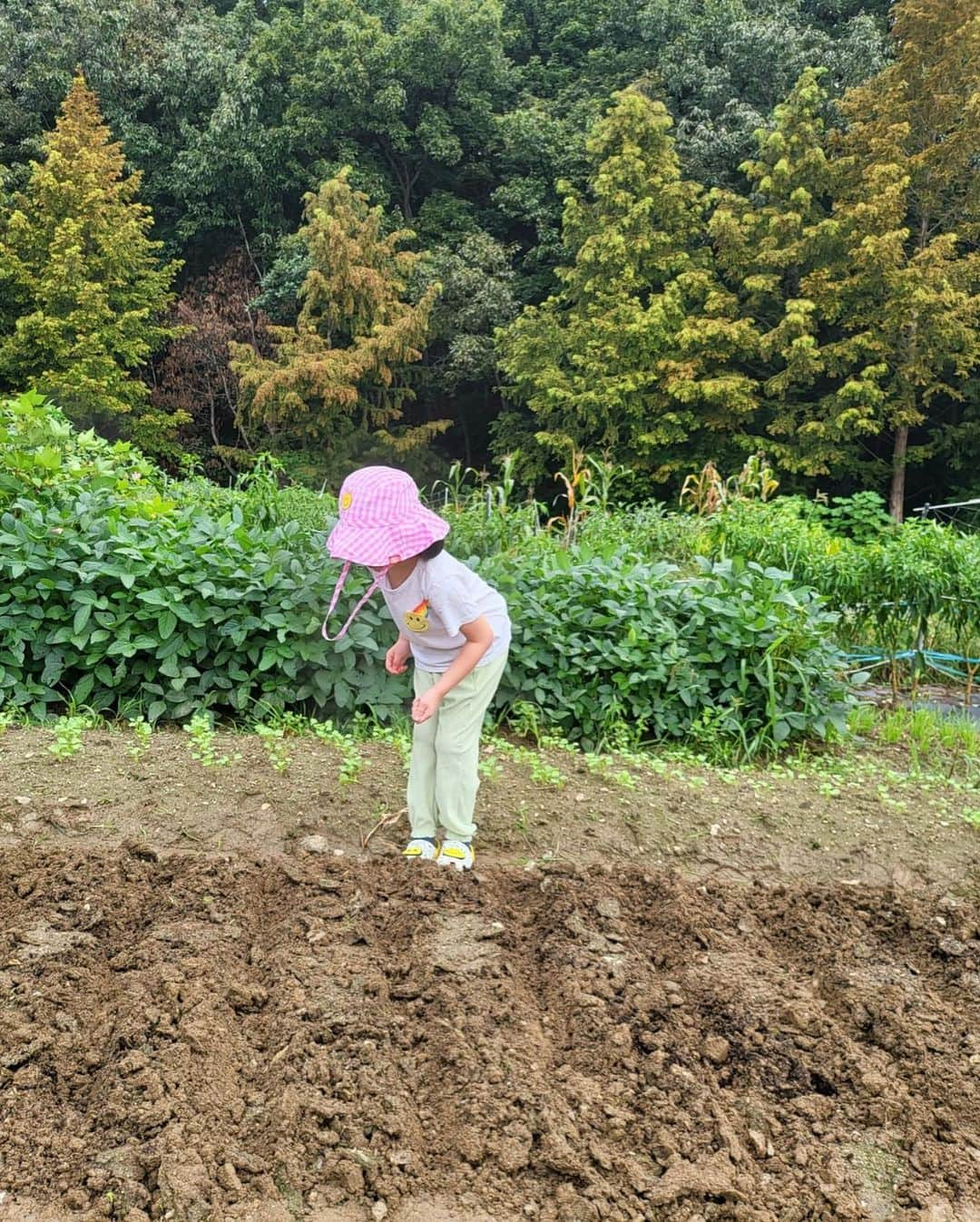 チェ・ジョンユンさんのインスタグラム写真 - (チェ・ジョンユンInstagram)「참 좋으신 삼촌 이모 덕분에  지우농장(삼촌이모가 붙여주심)에 무를 심었어여. 이번 김장도 든든합니다!!! 삼촌 이모 건강하세요!!! #주말 #감사」9月4日 9時01分 - choi._.jy_