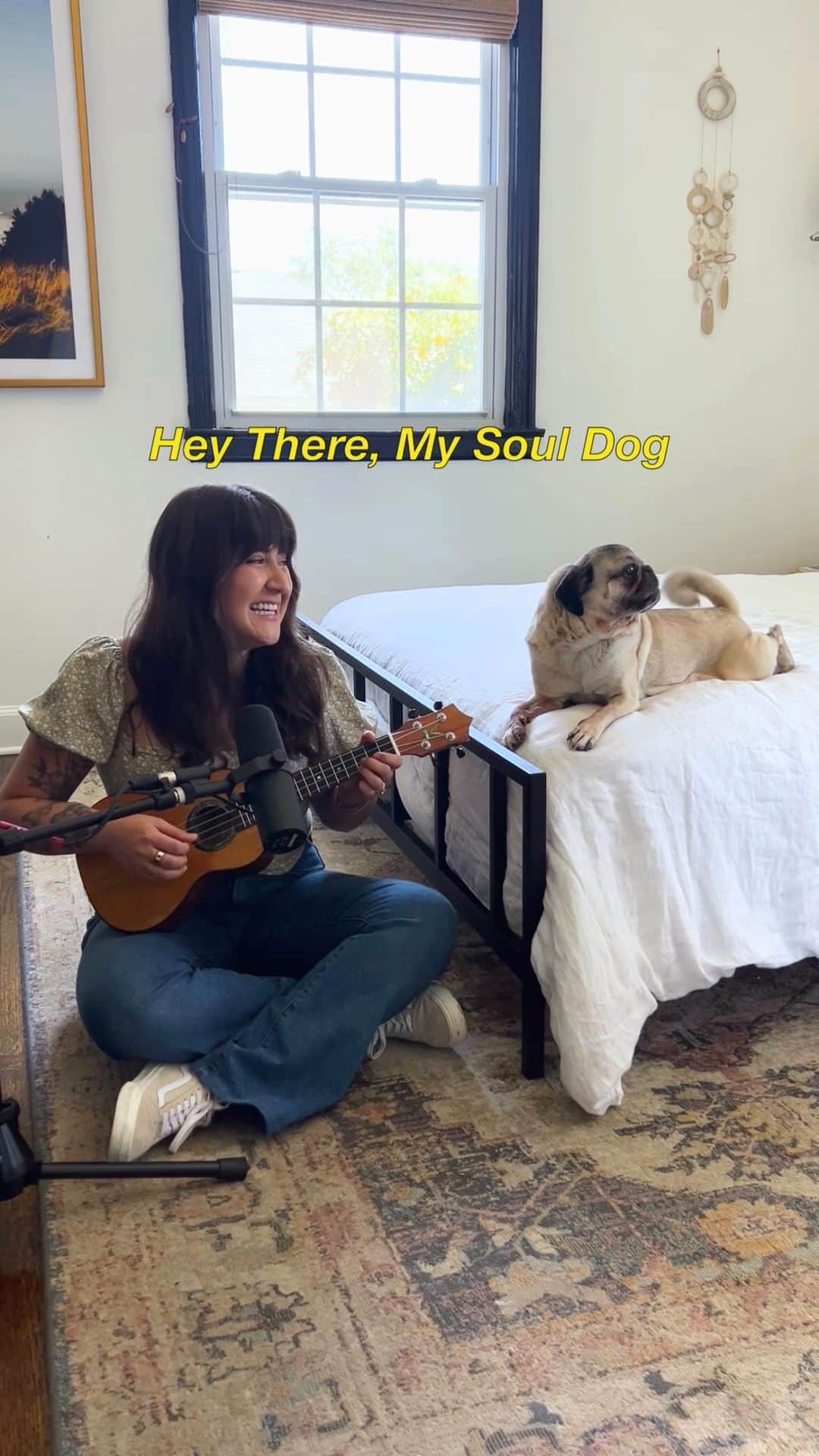 itsdougthepugのインスタグラム：「There’s nothing like finding your soul dog 💜 Doug loves this one so much he started singing along, with metronome-tail in full force! Sung to the tune of #heytheredelilah by @plainwhitets  #dogsofinstagram #acousticcovers #plainwhitets #dogmom」