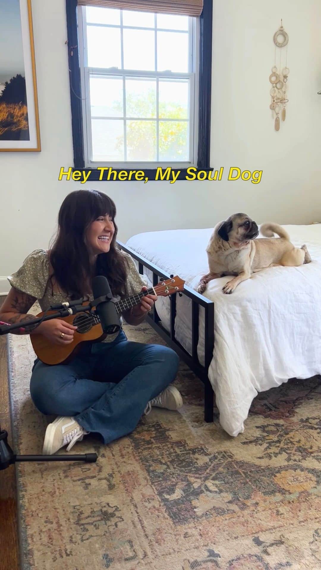 のインスタグラム：「There’s nothing like finding your soul dog 💜 Doug loves this one so much he started singing along, with metronome-tail in full force! Sung to the tune of #heytheredelilah by @plainwhitets  #dogsofinstagram #acousticcovers #plainwhitets #dogmom」