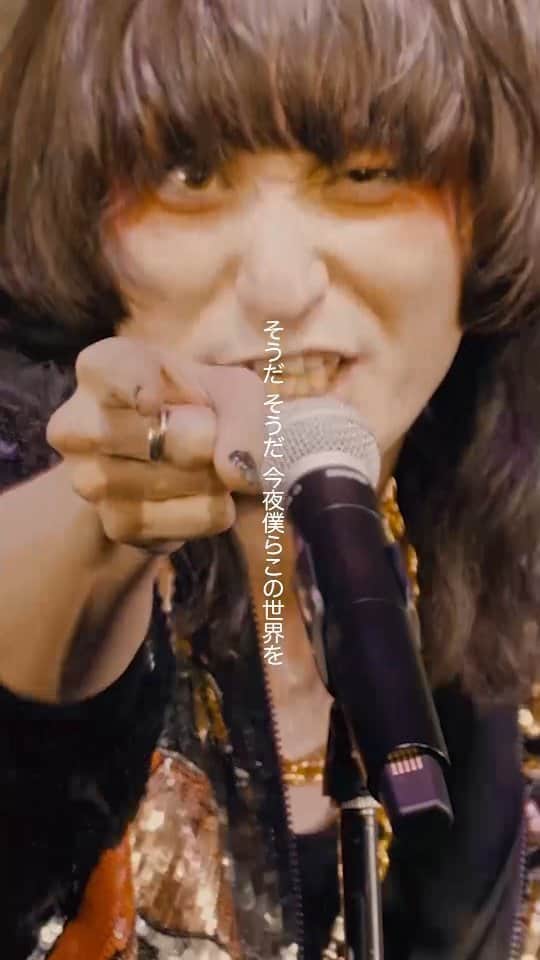 のインスタグラム：「ドレスコーズ / コミック•ジェネレイション フジテレビ"Love music"をご覧いただきありがとうございました！ 9/13(水)発売の最新アルバム「式日散花」はご予約受付中！ プロフィール欄を✅」