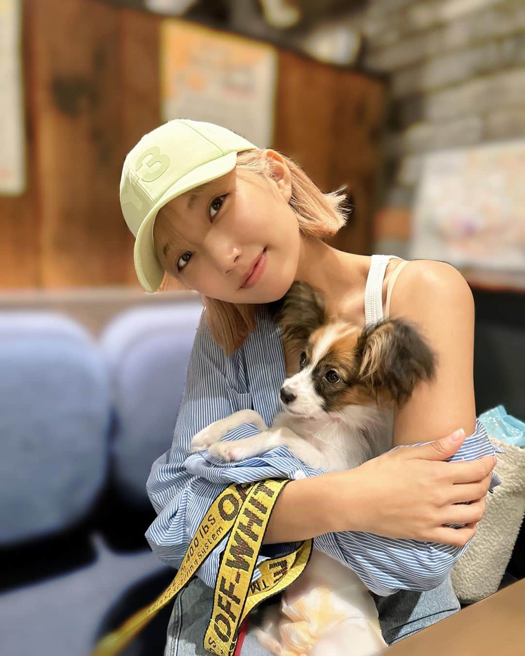 霜月めあのインスタグラム：「週末の休みはのぶちゆ🐕🐕とディナーでした🫶  わんこもいけるご飯屋さんは貴重なのでありがたい...🙏 飼い主もわんこも大満足😤😤✨ . . . .  #霜月めあ #めあめあ #model #sexy #selfie #animegirl #셀카 #셀스타그램 #패션스타그램 #데일리 #asiangirl #cosplay #좋아　 #follow #like #tokyo #ootd #自撮り界隈 #自撮り女子 #sexybody #love #맞팔 #tagsforlikes #japanesegirl #女孩 #发#爱 #instadaily #グラビア #日系穿搭」