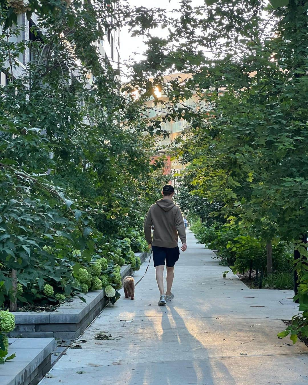 エヴァン・ベイツさんのインスタグラム写真 - (エヴァン・ベイツInstagram)「Autumn the most contemplative season」9月4日 1時36分 - evan_bates