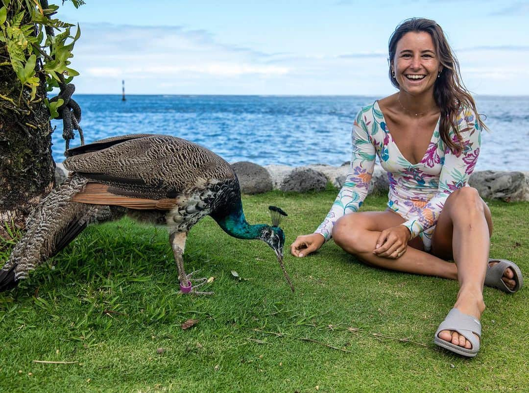 ジョアン・ディファイさんのインスタグラム写真 - (ジョアン・ディファイInstagram)「Making friends 🦚 @reef  Pic : @badboyryry_」9月4日 1時38分 - johannedefay