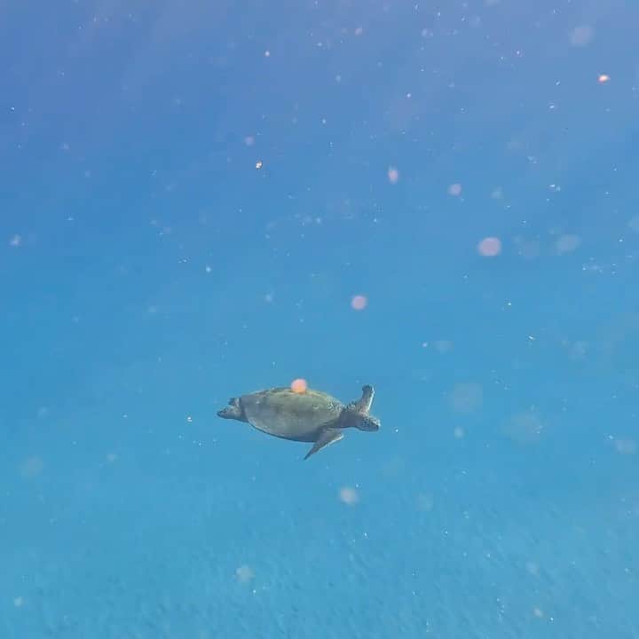 工藤まやのインスタグラム