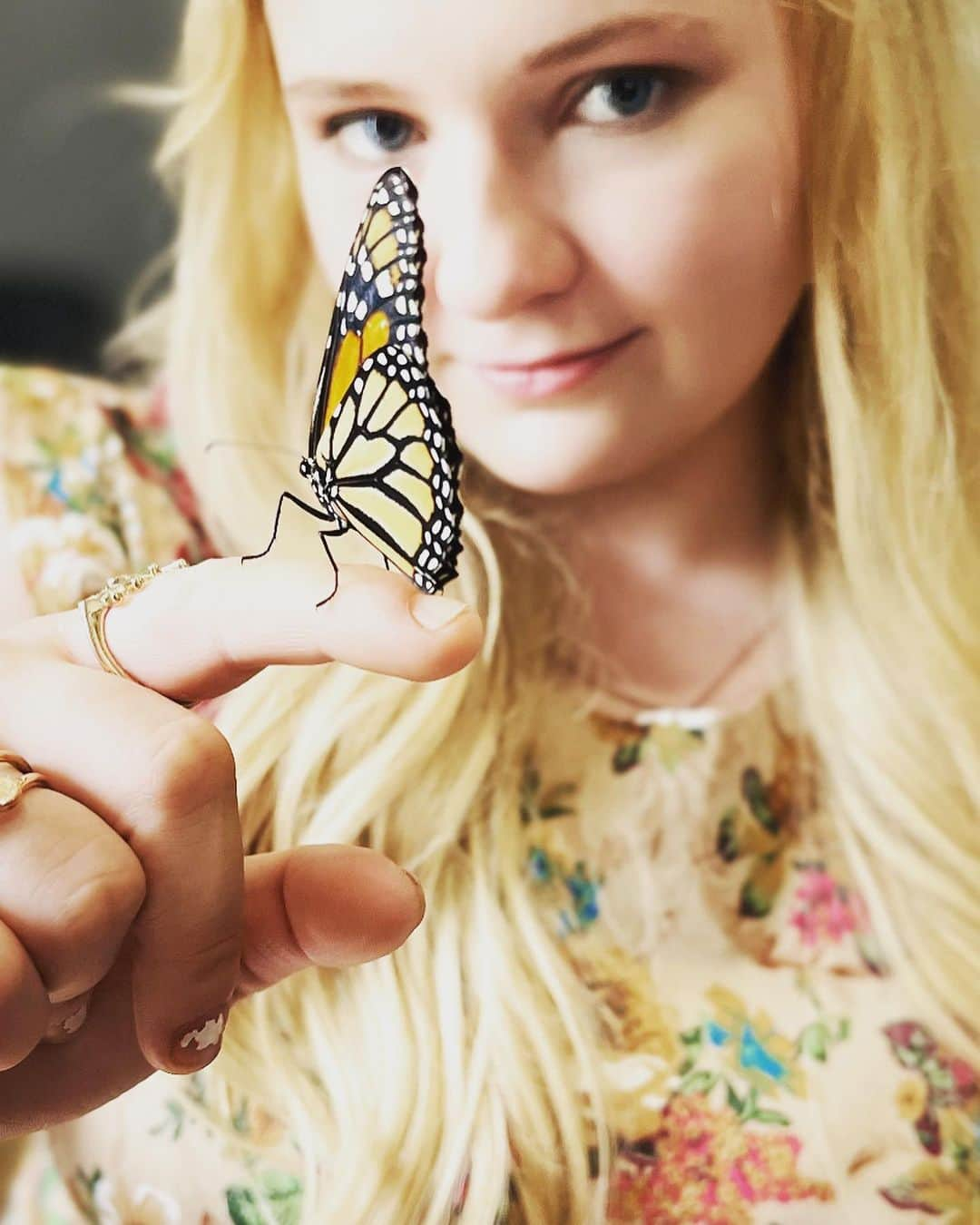 アビゲイル・ブレスリンさんのインスタグラム写真 - (アビゲイル・ブレスリンInstagram)「Made a new friend 🦋」9月4日 5時03分 - abbienormal9