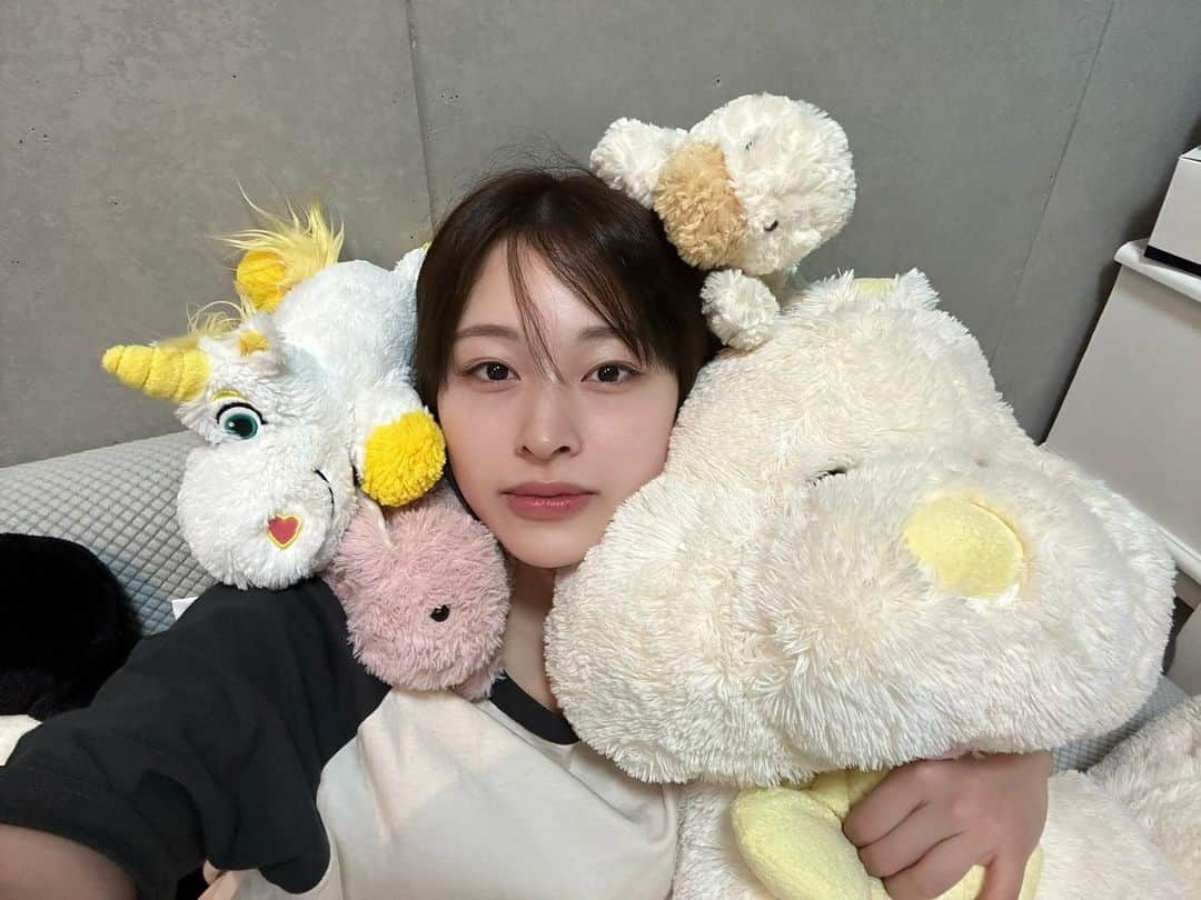 美月さんのインスタグラム写真 - (美月Instagram)「ぬいぐるみな日🧸 伊師さんちの仲間たち . #美月 #fypシ #写真集」9月4日 17時18分 - lxxe_myself.8