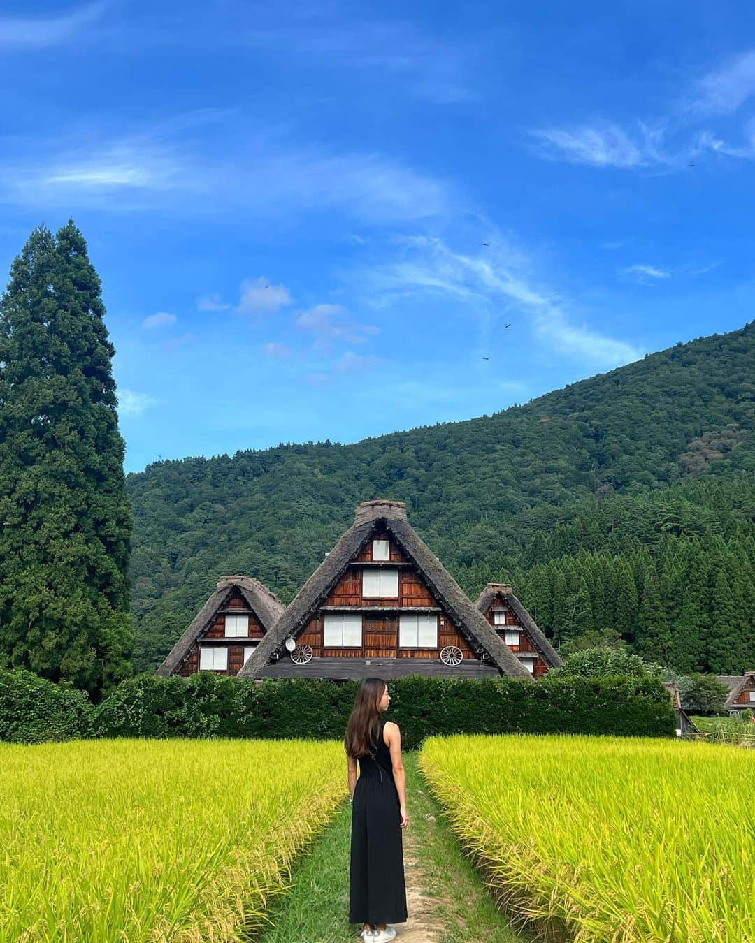 小西陽向さんのインスタグラム写真 - (小西陽向Instagram)「白川郷⛰️🌳🏞️  お天気にも恵まれ、最高の景色だった！☀️ 耳をすませば、自然独特の静けさと動物の鳴き声🦅 とっても癒された☺️ . . .  #白川郷　#岐阜県　#三つ子の合掌造り　#高山　#飛騨　#旅行　#旅行日記　#自然　#合掌造り #岐阜観光」9月4日 17時38分 - hinata713