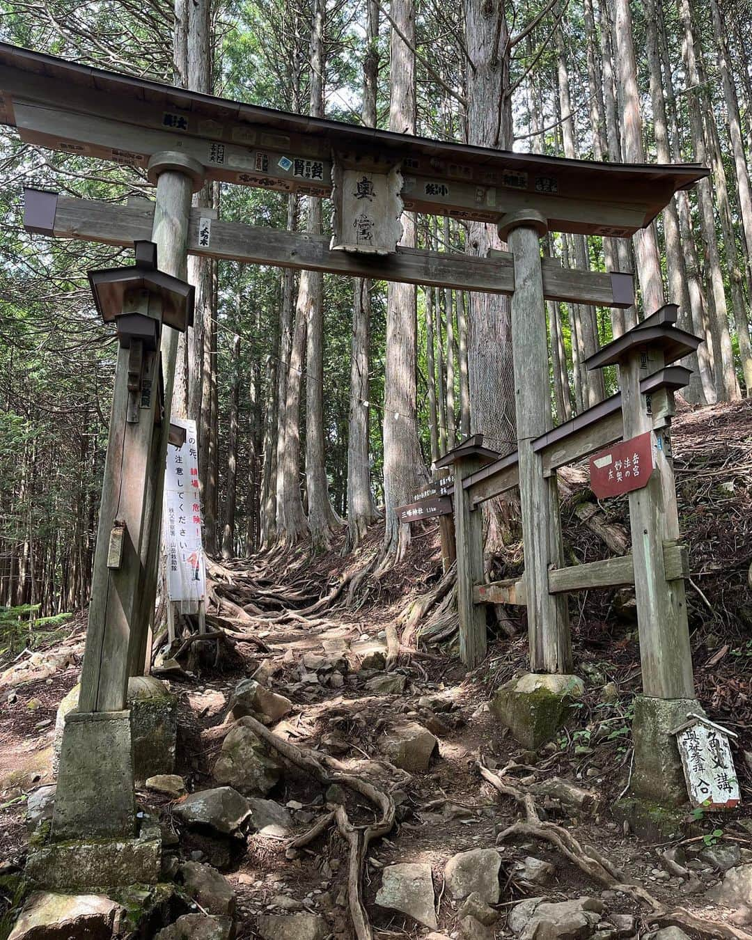 渡部純平さんのインスタグラム写真 - (渡部純平Instagram)「森羅万象 . . . #三峯神社#三峯#奥宮#秩父#自然#森羅万象#shrine#lifestyle#actor#model#yoga#meditation#nature#naturevibes#photooftheday#japantrip#junpeiwatanabe#渡部純平」9月4日 17時52分 - junpei_wt7b