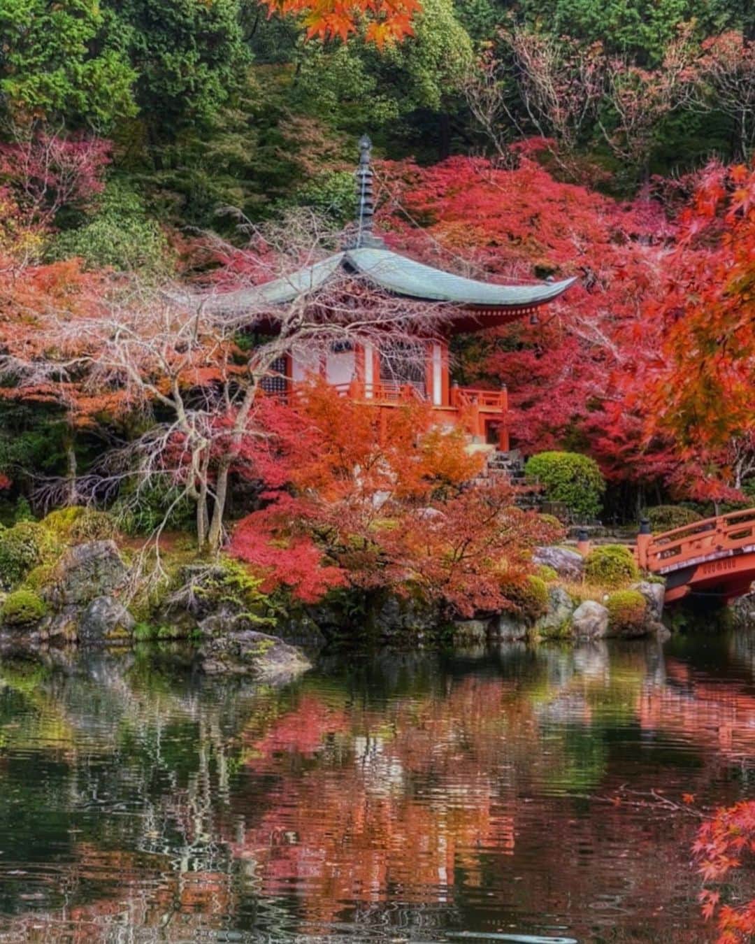 hama_aki_pppさんのインスタグラム写真 - (hama_aki_pppInstagram)「京都市伏見区#醍醐寺 (スライドして下さい)  Location Kyoto Japan #Daigoji (Swipe)   2022.11月　  2枚あります。2枚目動画です ここの動画もリールにして出そうと思ってたのにすっかり忘れ😅 リフレクションが美しく見る場所によって池の色が違ったのが凄かった🍁🍁　  　  #神社仏閣  #寺社仏閣　 #日本庭園  #おとな旅プレミアム  #こころから  #関西でお写んぽ　 #タビジェニ　 #japan_vacations  #京都観光  #弁天池  #beautiful_kansai  #sorakataphoto  #visitjapanjp  #zkg10 #リフレクションのある景色  #そうだ京都行こう  #japanesegarden  #reflectionphotography  #loves_united_kyoto  #cooljapanvideos  #japanese_gardens  #look_japan  #otonatabi_japan  #9vaga9_vision  #total_japan_  #visitkyoto  #iphonephotographer  #jalan_travel」9月4日 18時08分 - hama_aki_ppp