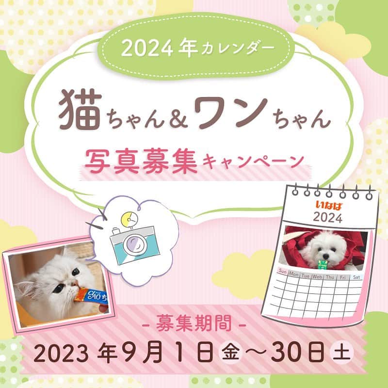 いなば CIAOちゅ～るのインスタグラム：「🌸🌻2024年カレンダー🌾⛄️ ワンちゃん&猫ちゃん写真募集キャンペーン🐕🐈  いなばペットのロゴ入りカレンダー （非売品）に掲載するワンちゃん&猫ちゃんの写真を募集致します。ちゅーるを食べている写真や、自慢のお写真を募集いたします。 ご応募はプロフィール欄のリンクからお願いいたします。  応募期間9月1日（金）〜9月30日（土） 素敵な写真をお待ちしています🐶😻」