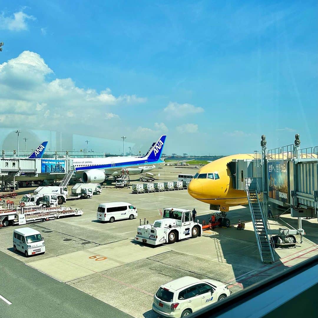 畑亜貴のインスタグラム：「C-3PO ANA JETで大阪国際空港へ。全貌が見たかったけど、機内アナウンスがちょっと違うSTAR WARSコラボに乗れただけでも嬉しい。  #akhtravelogue」