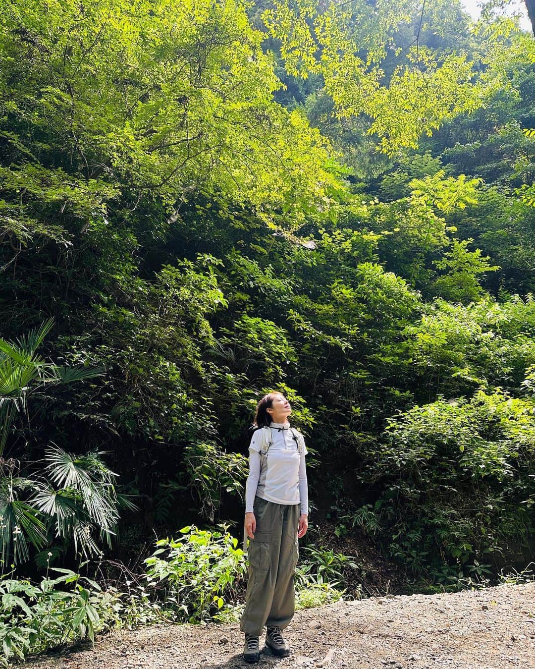 藤井美加子のインスタグラム：「⛰️ 山って神秘的🪽🌿🌳🦜  #高尾山 #自然 #パワーを浴びる女 #みなさんにも届くといいな」