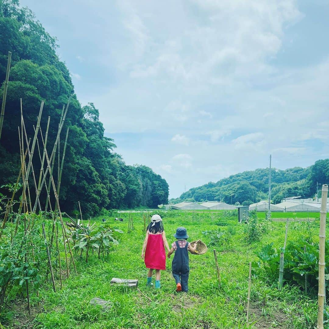 石野千尋さんのインスタグラム写真 - (石野千尋Instagram)「Summer memories 🌱🌽🥬🍆🥕 Flower picking @aratanafarm2022 🌻  地元で素敵な畑をやってる友達のところへ！お花摘みをしてる娘たちの後ろ姿。夏の楽しい思い出の1枚📷 用水路で遊んだり、大きなカエルに驚いたり、子どもたちはなんでも遊びにできるね。おいしいおにぎりも🍙ありがとう〜！ @akane_aratanafarm ♡  #farmlife #farm #flowerpicking #flower #summer #kidsfashion #photographer #kidsphotography  #夏の思い出 #なつやすみ #お花摘み #🌻」9月4日 12時14分 - chihiroishino