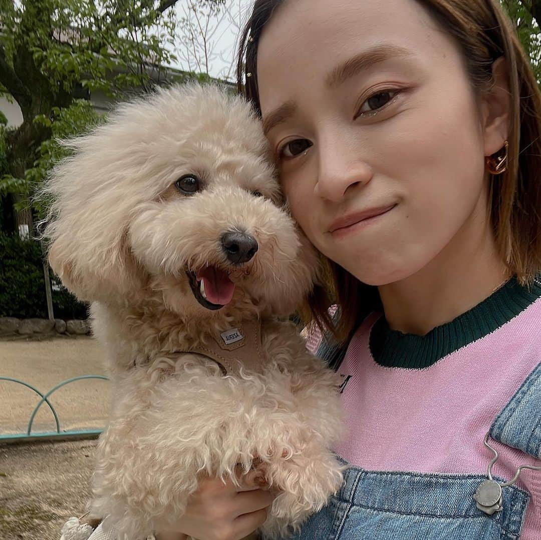 瀧本芹奈さんのインスタグラム写真 - (瀧本芹奈Instagram)「🧸👱🏻‍♀️🤍  最近の私達。 秋になったらお出掛けしまくるでい  #せりろあきろく #わんこのいる生活」9月4日 18時53分 - serina_takimoto