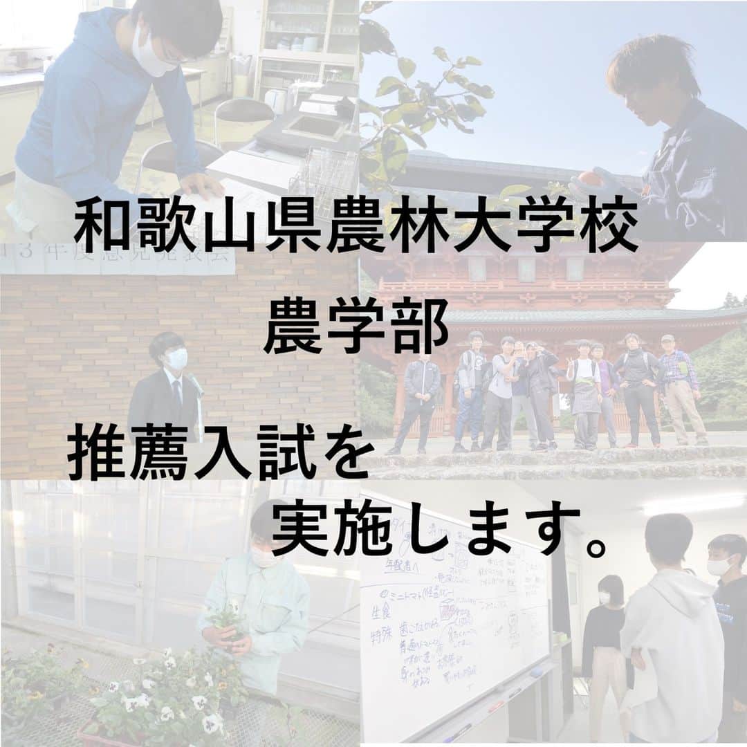 きいちゃんさんのインスタグラム写真 - (きいちゃんInstagram)「. ／ 和歌山県農林大学校農学部　学生募集！ ＼  10 月3 日（火）に推薦入試を実施します まもなく願書受付開始！（9/12～）  和農林大なら、農業の基本から先進的な技術まで学べる！ 農産物の加工や店舗運営、商品デザインも学べる！  和歌山県の農業に興味がある方、やってみたいことがある方のチャレンジをお待ちしています ▽詳細はこちら▽ https://www.pref.wakayama.lg.jp/prefg/nourindaigaku/index.html  #和歌山　#農業　#入学試験　#入試　#学生募集　#農業好きな人と繋がりたい　#新規就農　#農家」9月4日 14時30分 - wakayamapref_pr
