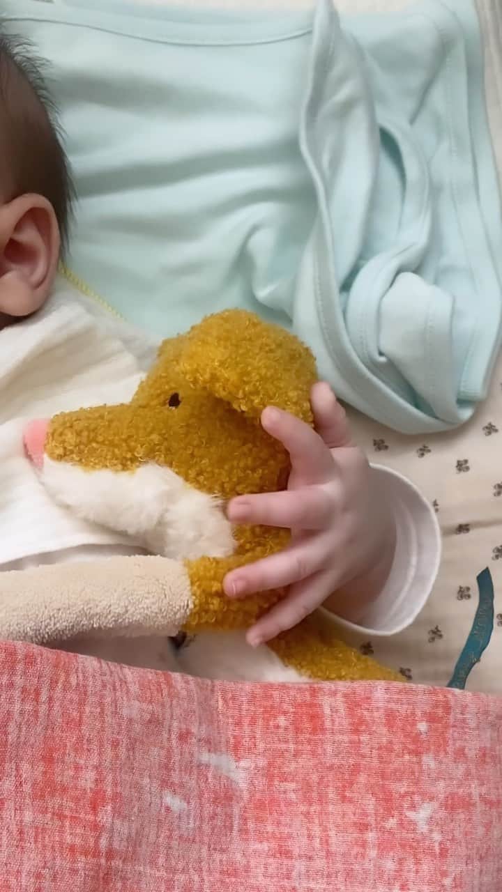 のインスタグラム：「🩵 👩🏻 젬마야, 이름 뭐라고 지을까? 👶🏻 갸~ 오! 🐶 그렇게 ‘갸오’ 가 되었다. #애착인형은엄마가골랐다」