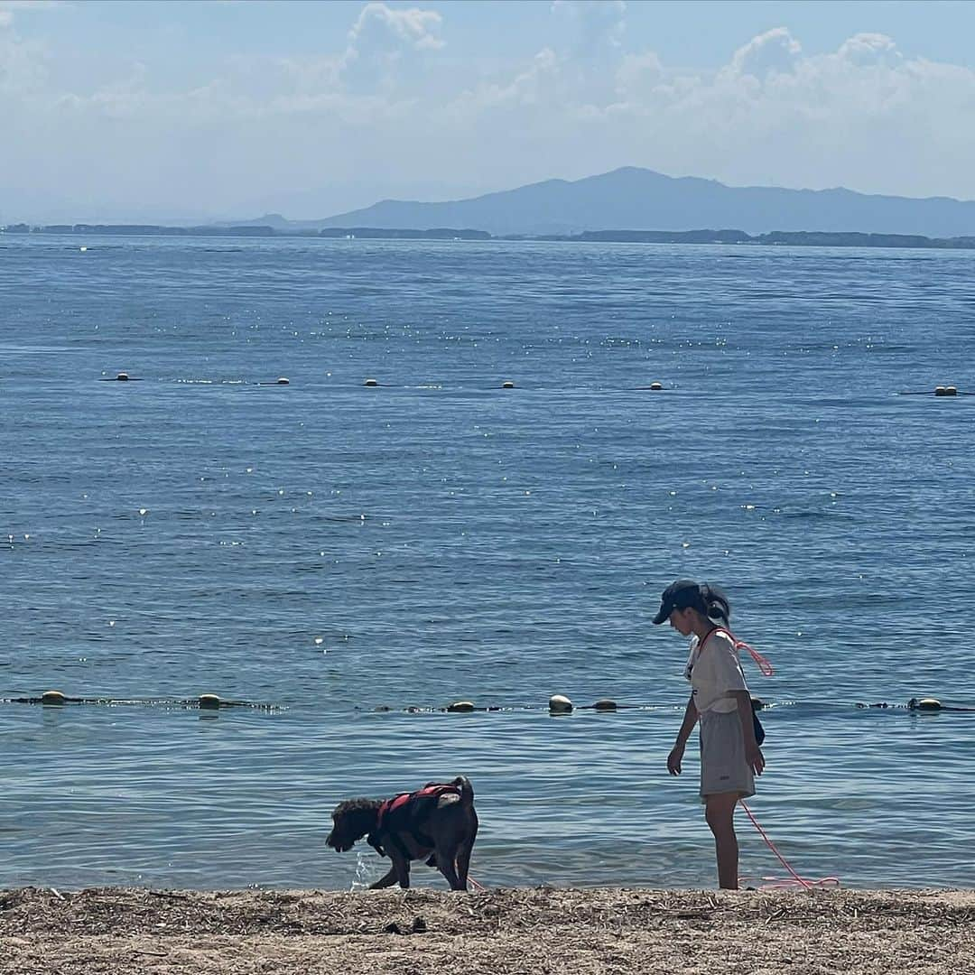 薮下柊のインスタグラム：「ポパイと夏の思い出作り😊  @popeye__simba   ワンちゃんは、私たち人間よりも命が短くて、ポパイが過ごす事ができる「夏」は数える事ができるくらいなので、いっぱい楽しい事をさせてあげたい😋🩵  休みの日は、出来る限りポパイとシンバに時間を使ってあげたい😆✨ いつも癒しをありがとう😊」