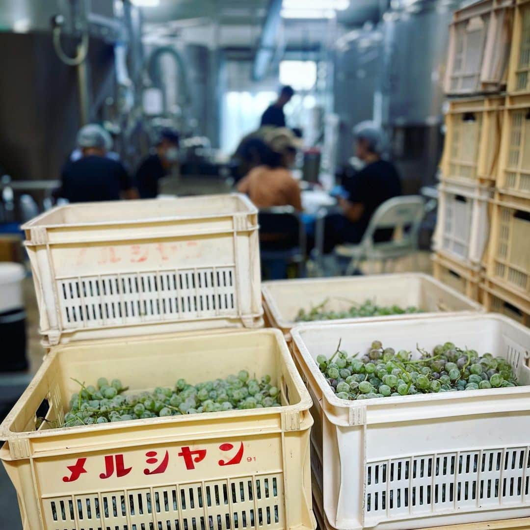 ジェフ・ウィリアムズがApple COOに任命され、フィル・シラーがApp Storeのリーダーに就任