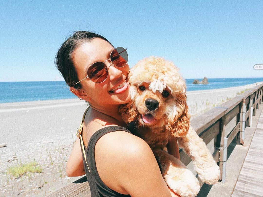 加治まやのインスタグラム：「夏休みは北陸に行きました🐶  #犬と旅行 #国内旅行 #新潟 #夏休み #summer #dog #犬とお出かけ #犬との暮らし」