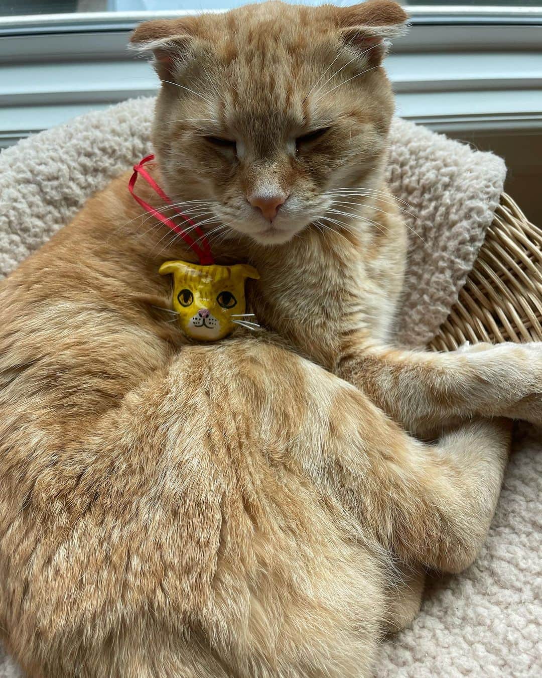 Jason G. Sturgillのインスタグラム：「#cheetochan with his ceramic doppelgänger by @lilitoddart from @katebingburt is my fav.」