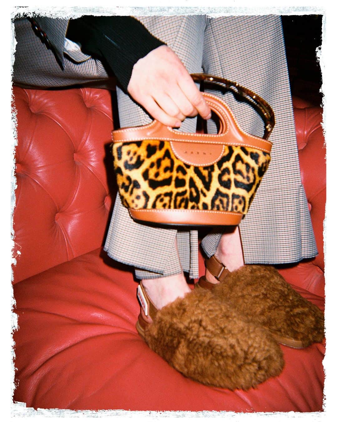 マルニさんのインスタグラム写真 - (マルニInstagram)「First date, tonight. My leopard print Tropicalia micro bag clearly has a crush on my shearling sabots.  #MARNIFW23Vol1 available online and in stores. Learn more via link in bio.  Photography & Art Direction: Sergio Cattivelli @cattivelli_studio Dop: @fabrizio.piscopo Styling: @francescacisani_x Styling assistant: @giuliafrogioni Casting: @claudiabrignolicasting」9月4日 19時00分 - marni