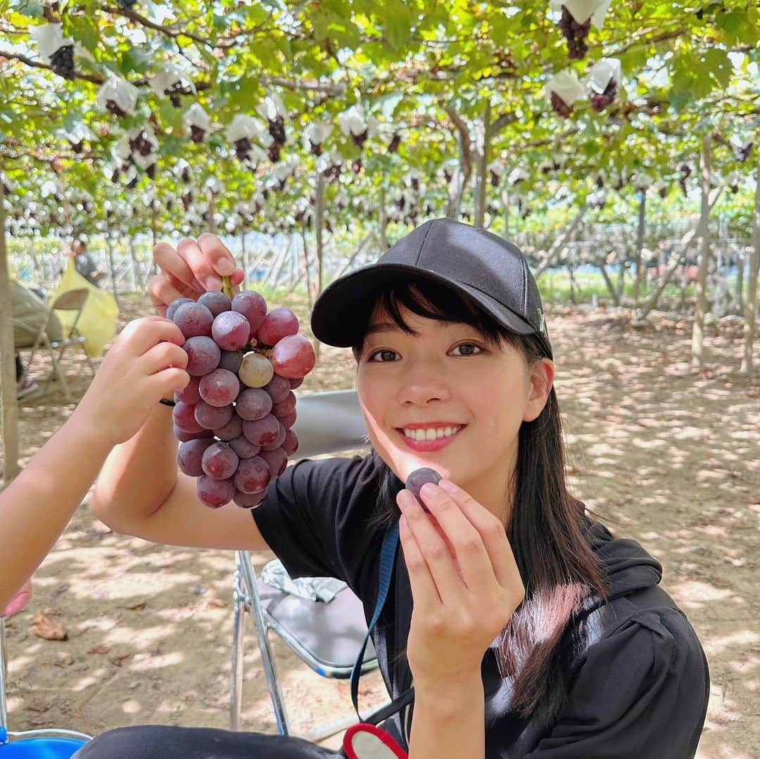 紀真耶さんのインスタグラム写真 - (紀真耶Instagram)「ぶどう狩り✨ 次回は5房目標にします！ 美味しかった！！  ☆ ☆ #ぶどう狩り #巨峰 #山梨県 #親子で大満足 #テレビ朝日 #紀真耶」9月4日 19時08分 - maya0kino