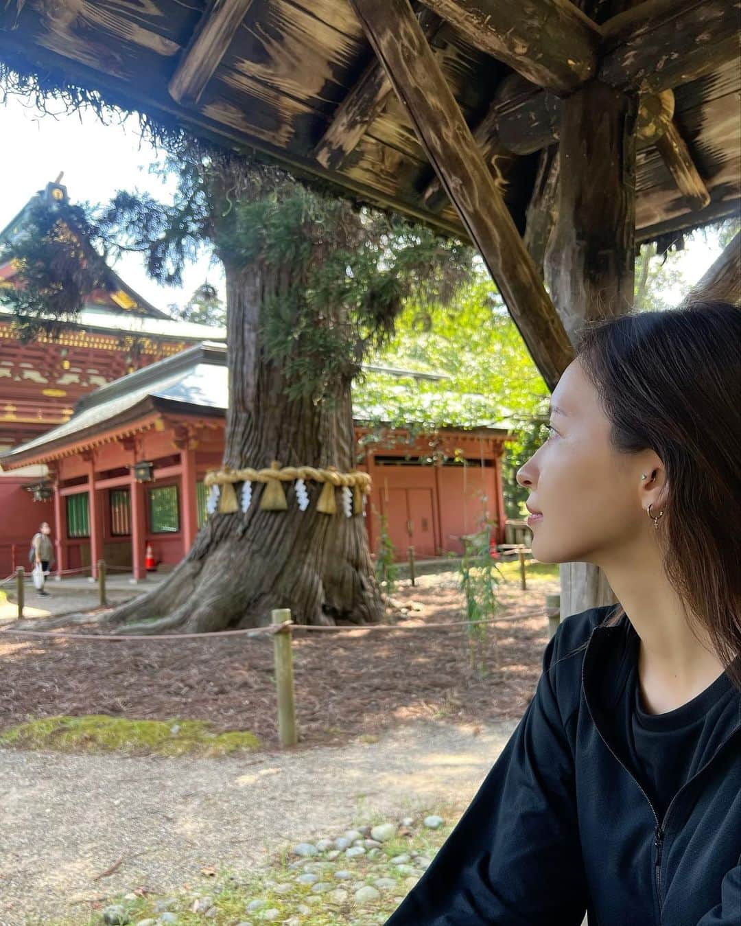 のインスタグラム：「.  SENDAI→MORIOKAの旅✈️𓂃𓈒𓏸︎︎︎︎  東北の秋の空って より一層素敵で、、、感動😭🩵  ほんとにとても素晴らしかった。  フォルダーが 空や大地の風景 景色でいっぱいに✨  そして今回の旅で出逢った 樹齢800年を超える 御神木さまとともに⛩🌳   パワーがとてつもなく凄くて 朝から大雨だったのに とたんに晴れて急にめっちゃ良い風吹いて 凄いエネルギー頂いた～😭✨👏  みなさんにおすそわけ\( ˶˙˙˶)/♡  感動しっぱなしの週末😭幸せや。 次訪れる際は ライドもしたいなあ～🚴‍♀️‎☁️   さあ次の旅を楽しみに頑張ろう✨✨👏」
