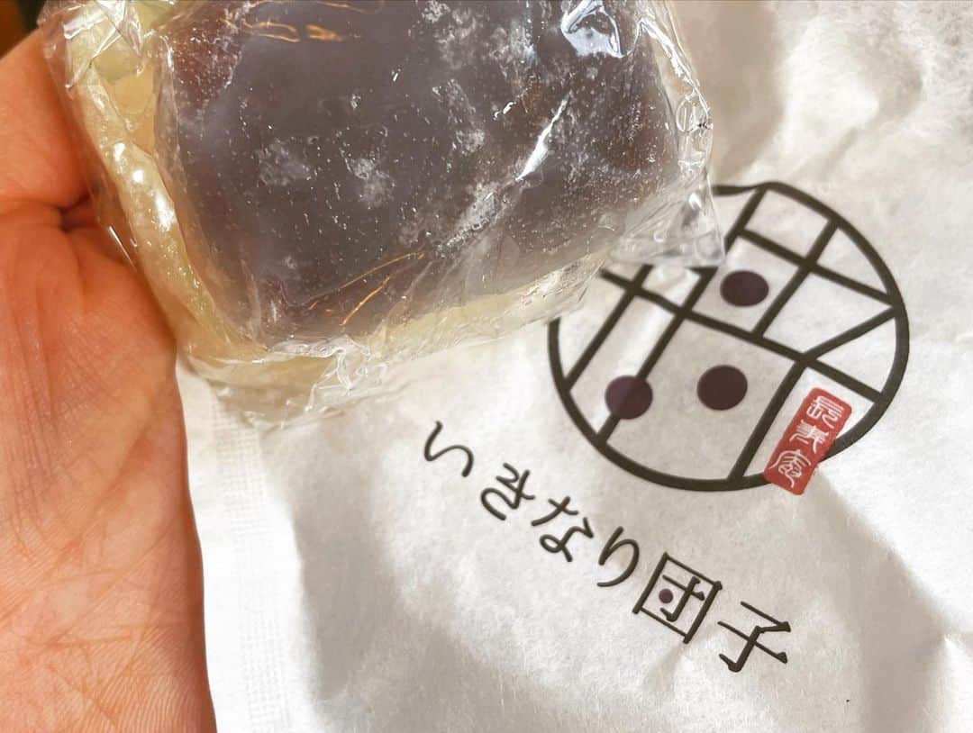 中島静佳さんのインスタグラム写真 - (中島静佳Instagram)「夏休みの思い出。 息子が乗りたいと言って、1ヶ月前にみどりの窓口に並んで10時打ちをしてもらいチケットを手にしたSL人吉。 運行開始から約100年、来春運行を終了するとあって大人気でした。  ２時間40分程のSL旅、座席はレトロで展望席も気持ちよく過ごせました。 息子達は事前予約した86弁当。私の旅のお供は乗車する熊本駅で購入したからし蓮根のコロッケといきなり団子でした。どちらもとっても美味しかったです。 #sl人吉 #sl人吉ラストシーズン #九州旅行」9月4日 20時18分 - shizuka617nakajima
