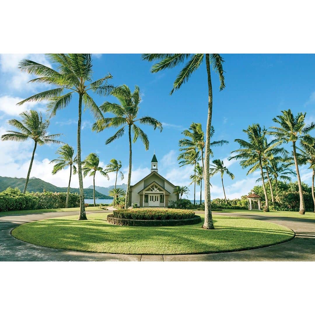 ワタベウェディングさんのインスタグラム写真 - (ワタベウェディングInstagram)「ハワイウェディング「ザ・プライベート・ガーデン アロハ・ケ・アクア」が2024年1月にリニューアルオープン🌴🌺  自然と愛が育む「愛」の聖地へ。古き良きハワイで過ごす大人のウェディング♡ -----------------------------------------------  ハワイ・オアフ島カネオヘエリアの “チャペル挙式”と“ガーデン挙式” ２つのスタイルから選べる人気挙式会場 「ザ・プライベート・ガーデン アロハ・ケ・アクア」がリニューアル！  「ザ･プライベート･ガーデン アロハ･ケ･アクア」は、 ワイキキの喧騒から離れ、 深遠な静けさと雄大な自然の中に包まれた カネオヘエリアにあります。  「カハルウ・フィッシュポンド」の湖を 取り囲む広大な敷地は、 永遠の愛のシンボル「ハート」に まつわる物語が伝わる神聖な場所です。  今回のリニューアルでは、 伝統にトレンドを掛け合わせ、 “古き良きハワイ”でゆったりとした時を過ごす 「大人ウェディング」が叶う会場へと生まれ変わります。  チャペル挙式会場「アロハ・ケ・アクア チャペル」は、 厳粛さと気品を併せ持つ、 伝統要素を色濃く反映した空間へ。  木のぬくもりを感じる空間を活かした 重厚な雰囲気の中に 華やかなホワイトの装花をふんだんに取り入れ、 バージンロードを彩ります。  レトロで落ち着いた内観に、 窓から幻想的な光が差し込み、 おふたりを凛と輝かせます。  ガーデン挙式会場 「アロハ・ケ・アクア カハルウ・グローブ」は、 ダイナミックな自然を活かした空間へとリニューアル。  バージンロードの先に広がる 空・山・緑の色が映え渡るよう、 シンプルなホワイトの装飾を取り入れることで、 コントラストの美しさが際立ちます。  挙式後には、 豊かな緑と湖を見渡せる敷地内のパーティ会場 「ポハイケ・アロハ・ガーデン」や、 ワイキキの海を間近に感じられる 最高のロケーションにあるフレンチレストラン 「ミッシェルズ・アット・ザ・コロニー・サーフ」で ハワイの絶景に囲まれながら、 パーティをお楽しみいただけます♪  ※写真はイメージです ----------------------------------------------- #ワタベウェディング #watabewedding #リゾートウェディング #リゾート挙式 #結婚式 #プレ花嫁 #リゾ婚 #式場探し #卒花嫁 #ウェディング #プレ花嫁さんと繋がりたい #結婚式準備 #hawaiiwedding #ゼクシィ #ハワイウェディング #少人数婚 #少人数ウェディング #家族婚 #ハワイ挙式 #式場見学 #卒花レポ #ハワイ好きな人と繋がりたい #ガーデンウェディング  #アロハケアクアチャペル #アロハケアクア #アロハケアクアガーデン #アロハケアクアカハルウグローブ #子連れハワイ #ハワイ旅行 #hawaii -----------------------------------------------」9月4日 20時31分 - watabewedding