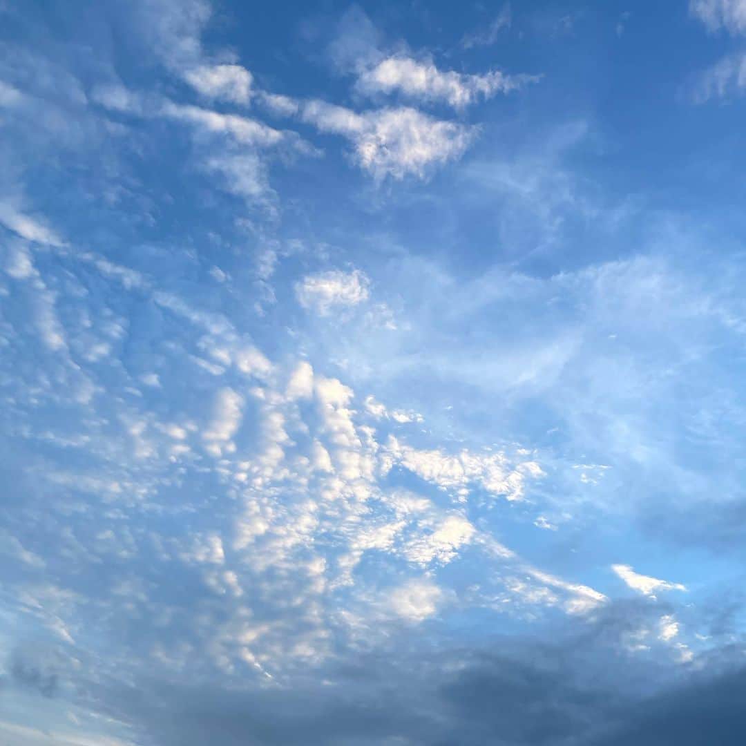 濱田マサルさんのインスタグラム写真 - (濱田マサルInstagram)「空と雲のバランスには  正解も不正解も無い。  成功も失敗も無い。  本来、人もそうあるべき。。  それを教えてくれる空。  日々の学びと、気づきに感謝。」9月4日 20時31分 - hamadamasaru