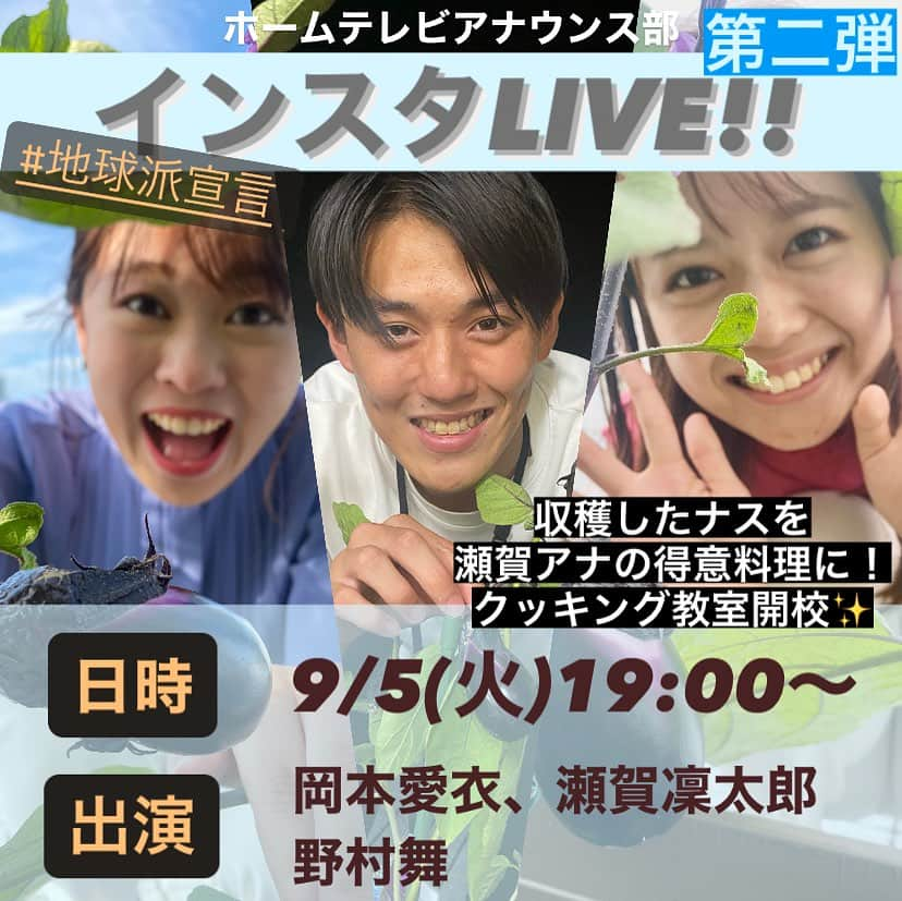 広島ホームテレビ「HOME NEXT neo」のインスタグラム：「第二弾インスタLIVE開催決定！  明日9月5日(火)19:00〜 新人アナウンサー3人がインスタLIVEを実施します✨  地球派宣言の活動を理解しようと新人アナが育てた野菜を収穫！ 今回はナスで瀬賀アナの得意料理を🍆 瀬賀先生に教えてもらいます♪  是非ご覧くださいね👀🔥  #インスタライブ #告知 #岡本愛衣 #瀬賀凜太郎 #野村舞  #新人アナウンサー」