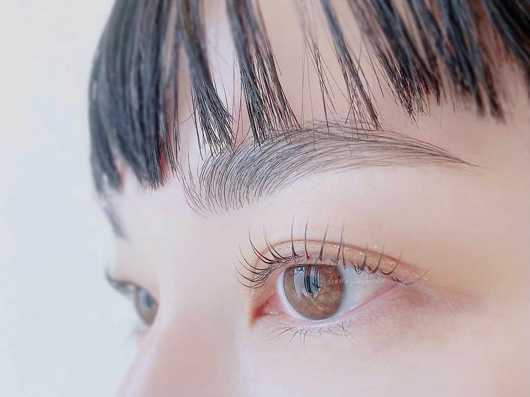 フレジエのインスタグラム