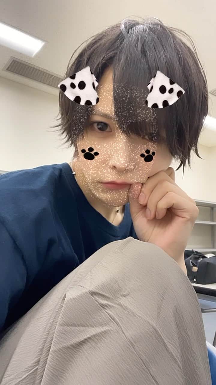 のインスタグラム：「拾ってわんわん🐶 #reel」