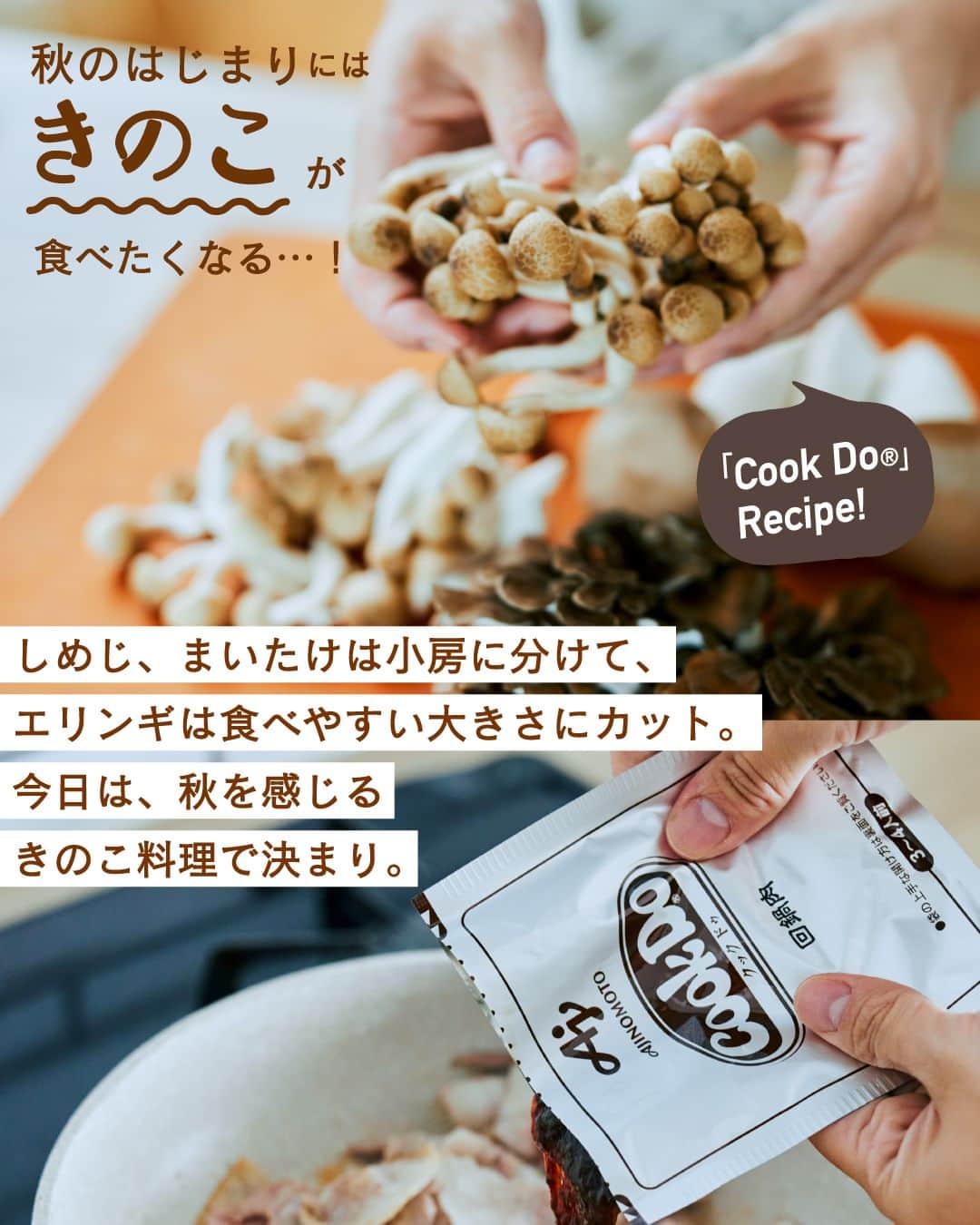 cooking_ajinomotoさんのインスタグラム写真 - (cooking_ajinomotoInstagram)「作ってみたいと思ったら【❤️】の絵文字でコメントしてくださいね。  アンケートのご協力ありがとうございました！ みなさまのお声をうけ、人気のきのこを使ったレシピをご紹介します。  ✔️きのこもりもり回鍋肉：⏱20分 きのこやごぼうなど、回鍋肉に秋の味覚をプラスした ボリューム満点のアレンジレシピです。  詳しいレシピは、スワイプして2枚目以降の画像をCHECK🔎 保存ボタンをタップして、ぜひ作ってみてくださいね。  *** たべる楽しさを、もっと 作る楽しさを、もっと 「AJINOMOTO PARK」 インスタグラムでは いつも生活の中心にある “食”を通じて毎日を明るく 楽しくするレシピを投稿しています🍳 ***  #味の素パークレシピ #ajinomotopark #おいしいねは笑顔の素 #アレンジレシピ #節約レシピ #ボリューム満点  #クックドゥ #cookdo #回鍋肉  #きゃべつ #きゃべつレシピ #きゃべつ料理 #豚肉 #豚肉レシピ #豚肉料理 #きのこ #きのこレシピ #きのこ料理 #今夜のごはん #今夜のメニュー #今晩のおかず #定番メニュー #秋レシピ #秋の味覚 #秋の食材  #旬の味覚 #旬の食材 #レシピあり #レシピ付き #レシピ公開」9月4日 21時00分 - ajinomoto_park