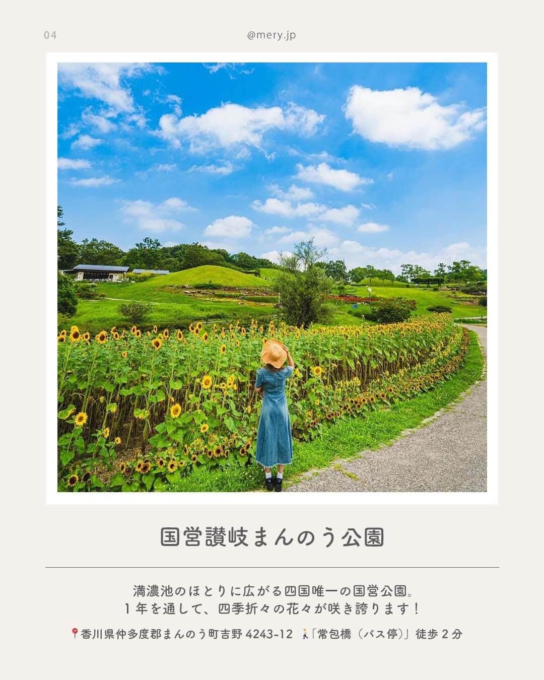 MERYさんのインスタグラム写真 - (MERYInstagram)「うどんも自然も観光もハズせない🍃香川県でやりたいことLIST　  瀬戸内海に面しうどん県として有名な香川県ですが、うどん以外にも豊かな自然や観光名所などがたくさん🤍 今回は香川県に行ったら是非足を運んでほしいスポットをご紹介します🛫保存して、遊びに行くときの参考にしてね📃  ♡｜香川県でやりたいことLIST #直島 #小豆島オリーブ公園（ @olive_pk ） #エンジェルロード #国営讃岐まんのう公園（ @sanukimannopark ） #四国水族館（ @shikoku_aquarium ） #天空の鳥居 ・ #高屋神社 #日の出製麺所（ @hinode.seimensyo ） #ザチェルシーブレス（ @the_chelsea_breath ）  47都道府県でやりたいことはここからチェック🧺🤍 ˗ˋˏ #MERYとおでかけ ˎˊ˗  photo by @a_me_24 @__1009__.ao0 @___sechaaa @kawazoekeita @n.a.0328 @kakakagram @daidokoro_gohan @0328kg  MERYでは他にも「かわいい」に近づけるさまざまな情報を発信しています。⁣ @mery.beauty コスメ・美容に特化した情報をお届け♡ @mery_giftsalon 選りすぐりのギフトを提案🎁 こちらもぜひチェックしてみてください！⁣  #香川県 #香川 #香川旅行 #香川観光 #国内旅行 #旅行 #女子旅 #カップル旅行 #カップル旅 #おでかけスポット #おすすめスポット #観光スポット #香川ホテル #水族館 #水族館デート #神社 #パワースポット  #道の駅 #うどん県」9月4日 21時00分 - mery.jp