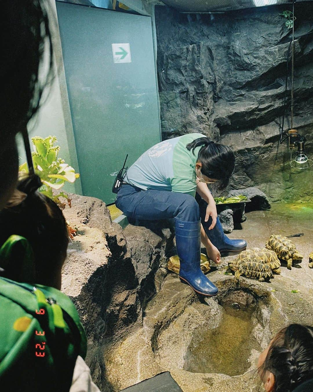 平アスカさんのインスタグラム写真 - (平アスカInstagram)「「いつか家族で水族館とかいってみたい」  そういえば、妹がLINEでいってた  わたしは2歳、妹は1歳から児童養護施設で育ったから両親とお出かけなんてしたことなかったから。  姫（姪っ子）に最近会えてなかったからわたしが会う理由つくりたくてどっかいこーって提案したけど  👸🏻も初めての水族館めっちゃ喜んでくれてよかった〜！ （真顔の写真ばっかだけど笑）  旦那さんベビーカー押してくれたり、うちらをうしろからそっと見守ってくれてありがとおおお . . #水族館 #水族館デート #サンシャイン水族館 #初めての水族館 #家族っていいね #姪っ子らぶ #姪っ子とデート #しあわせをありがとう」9月4日 21時00分 - asucataira