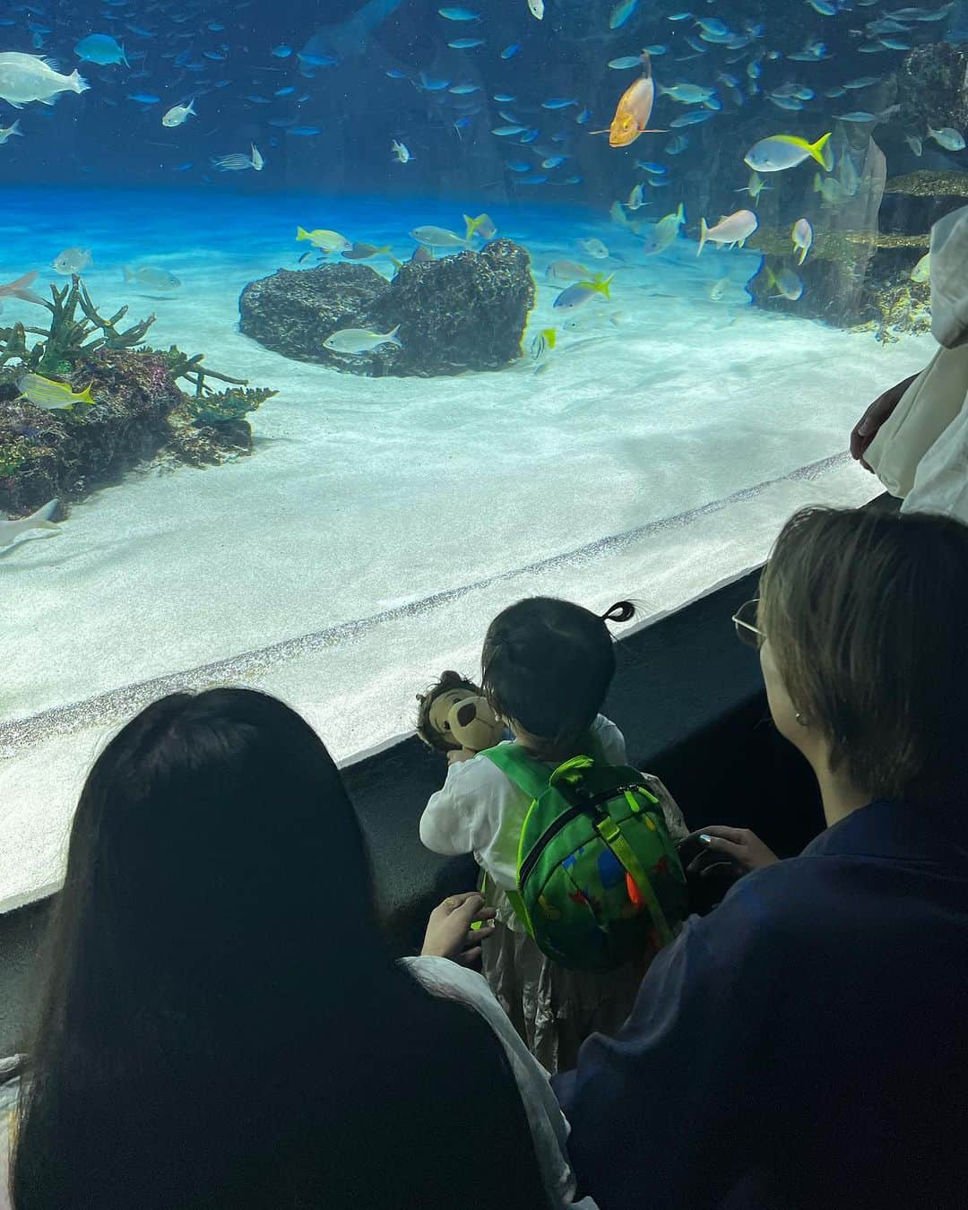 平アスカさんのインスタグラム写真 - (平アスカInstagram)「「いつか家族で水族館とかいってみたい」  そういえば、妹がLINEでいってた  わたしは2歳、妹は1歳から児童養護施設で育ったから両親とお出かけなんてしたことなかったから。  姫（姪っ子）に最近会えてなかったからわたしが会う理由つくりたくてどっかいこーって提案したけど  👸🏻も初めての水族館めっちゃ喜んでくれてよかった〜！ （真顔の写真ばっかだけど笑）  旦那さんベビーカー押してくれたり、うちらをうしろからそっと見守ってくれてありがとおおお . . #水族館 #水族館デート #サンシャイン水族館 #初めての水族館 #家族っていいね #姪っ子らぶ #姪っ子とデート #しあわせをありがとう」9月4日 21時00分 - asucataira