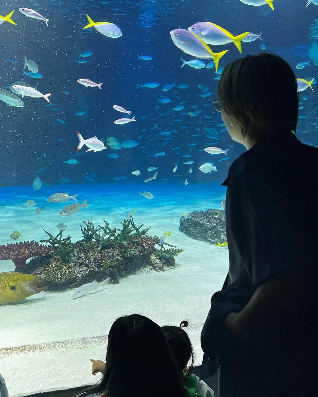 平アスカさんのインスタグラム写真 - (平アスカInstagram)「「いつか家族で水族館とかいってみたい」  そういえば、妹がLINEでいってた  わたしは2歳、妹は1歳から児童養護施設で育ったから両親とお出かけなんてしたことなかったから。  姫（姪っ子）に最近会えてなかったからわたしが会う理由つくりたくてどっかいこーって提案したけど  👸🏻も初めての水族館めっちゃ喜んでくれてよかった〜！ （真顔の写真ばっかだけど笑）  旦那さんベビーカー押してくれたり、うちらをうしろからそっと見守ってくれてありがとおおお . . #水族館 #水族館デート #サンシャイン水族館 #初めての水族館 #家族っていいね #姪っ子らぶ #姪っ子とデート #しあわせをありがとう」9月4日 21時00分 - asucataira