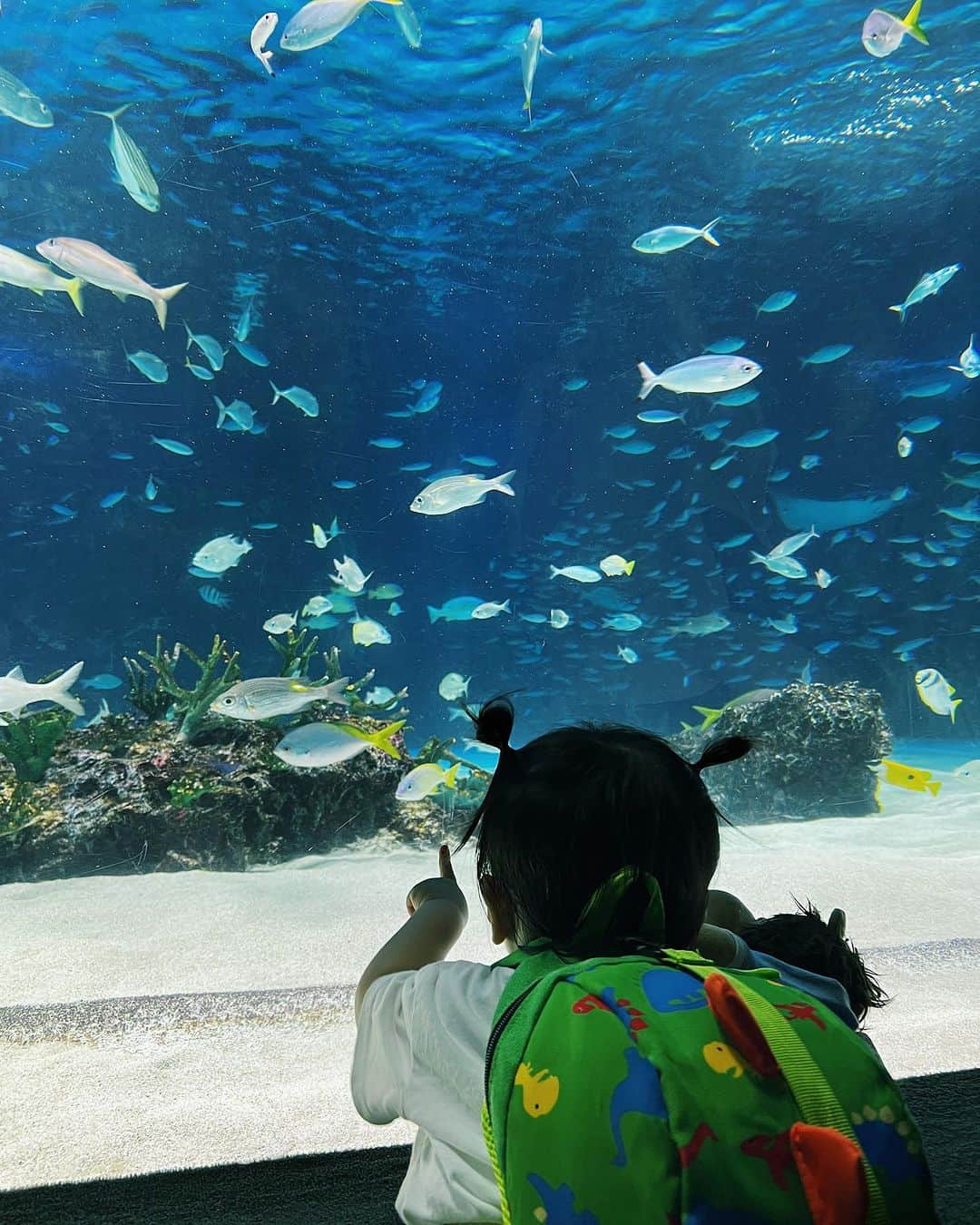 平アスカのインスタグラム：「「いつか家族で水族館とかいってみたい」  そういえば、妹がLINEでいってた  わたしは2歳、妹は1歳から児童養護施設で育ったから両親とお出かけなんてしたことなかったから。  姫（姪っ子）に最近会えてなかったからわたしが会う理由つくりたくてどっかいこーって提案したけど  👸🏻も初めての水族館めっちゃ喜んでくれてよかった〜！ （真顔の写真ばっかだけど笑）  旦那さんベビーカー押してくれたり、うちらをうしろからそっと見守ってくれてありがとおおお . . #水族館 #水族館デート #サンシャイン水族館 #初めての水族館 #家族っていいね #姪っ子らぶ #姪っ子とデート #しあわせをありがとう」