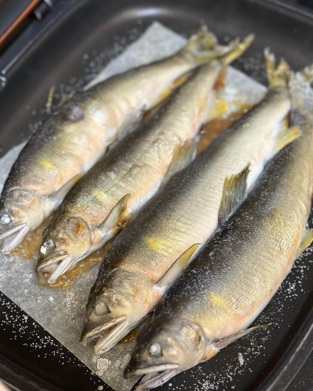 金石昭人さんのインスタグラム写真 - (金石昭人Instagram)「カネやん食卓😋  今日送られてきた鮎🐟を 早速食べました♪  美味い😋 美味いなぁ😋 美味かったなぁ😋  ご馳走様でした🙏  どや  #カネやん食卓 #岐阜県白川町 #佐見川 #天然の鮎 #鮎の塩焼き #うまい #どや」9月4日 21時07分 - kaneishiakihito