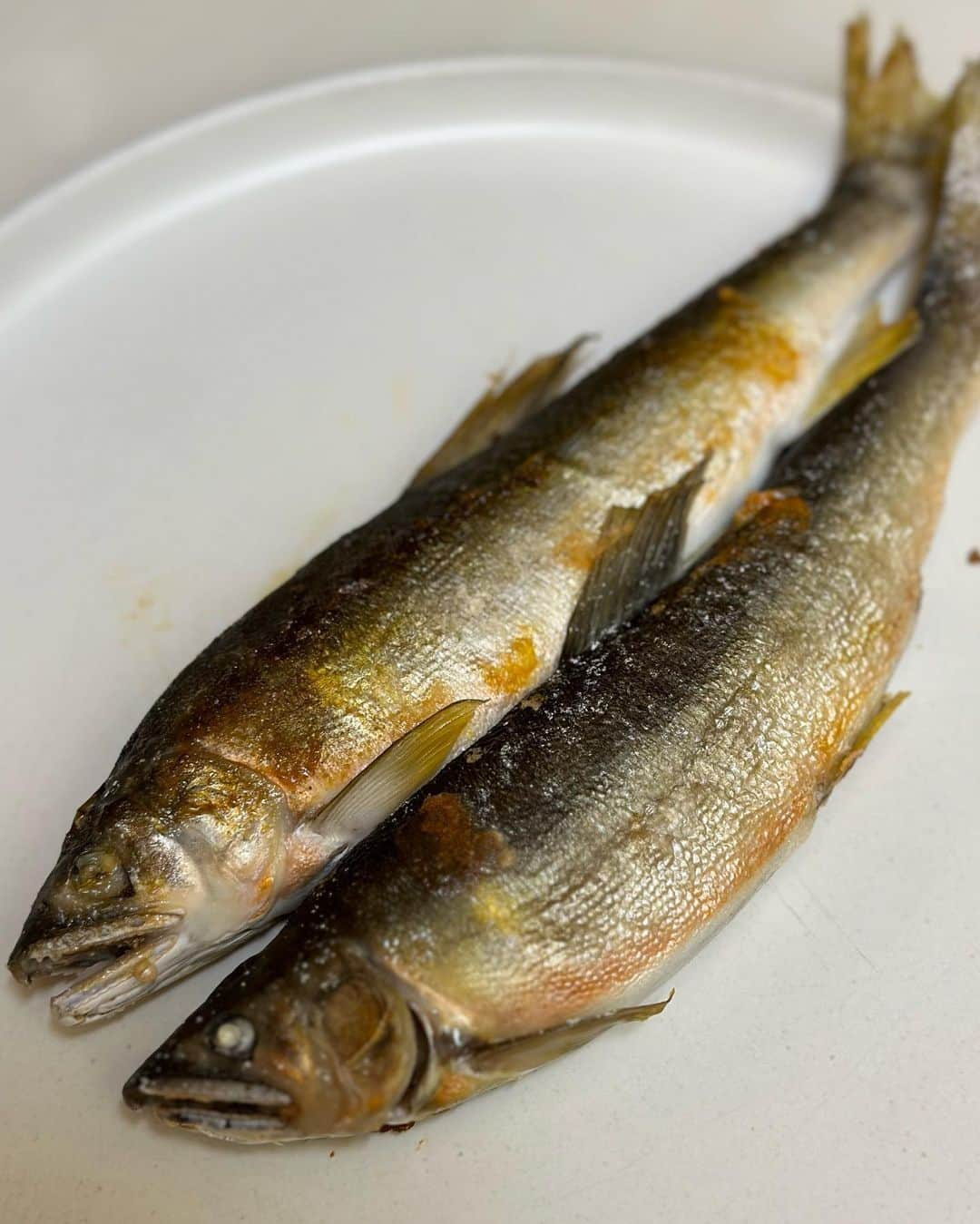 金石昭人さんのインスタグラム写真 - (金石昭人Instagram)「カネやん食卓😋  今日送られてきた鮎🐟を 早速食べました♪  美味い😋 美味いなぁ😋 美味かったなぁ😋  ご馳走様でした🙏  どや  #カネやん食卓 #岐阜県白川町 #佐見川 #天然の鮎 #鮎の塩焼き #うまい #どや」9月4日 21時07分 - kaneishiakihito