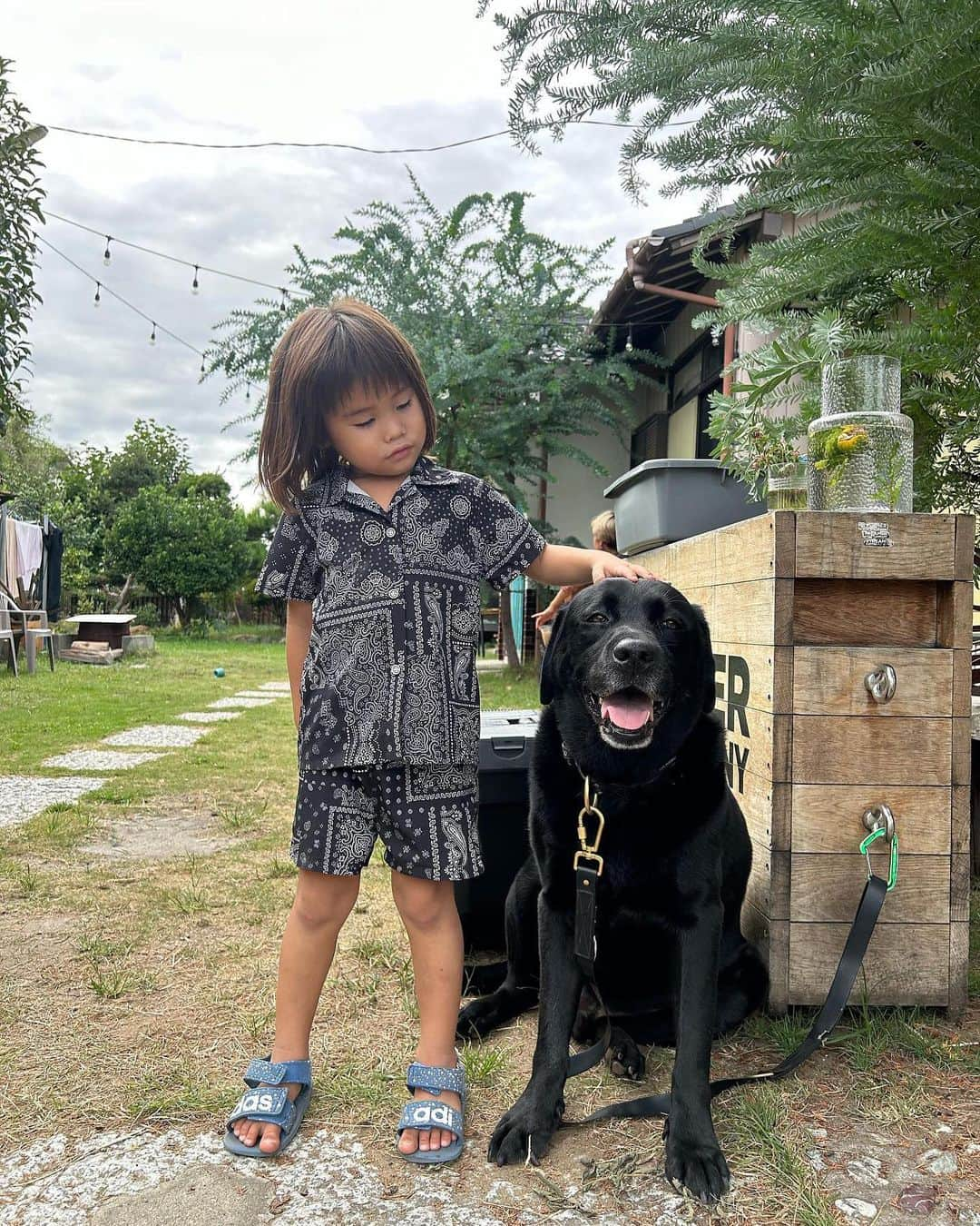 西澤良磨のインスタグラム：「子供が犬と一緒に遊ぶ姿って 本当に微笑ましくて憧れがあった ⁡ うちのネリーくんは子供が好きじゃないから こういった姿の写真を一緒に撮ったことがない笑 ⁡ 次男の輝氣は犬が好きで 優しい犬は触らせてくれるから 最近触りたがるようになってきた🙂 ⁡ 宝物の写真😄 ⁡ ⁡ #パーマネントトラベラー #海外生活  #連続起業家 #海外起業家 #世界を旅する #起業家 #起業 #海外起業 #犬と子供 #次男 #犬好き」