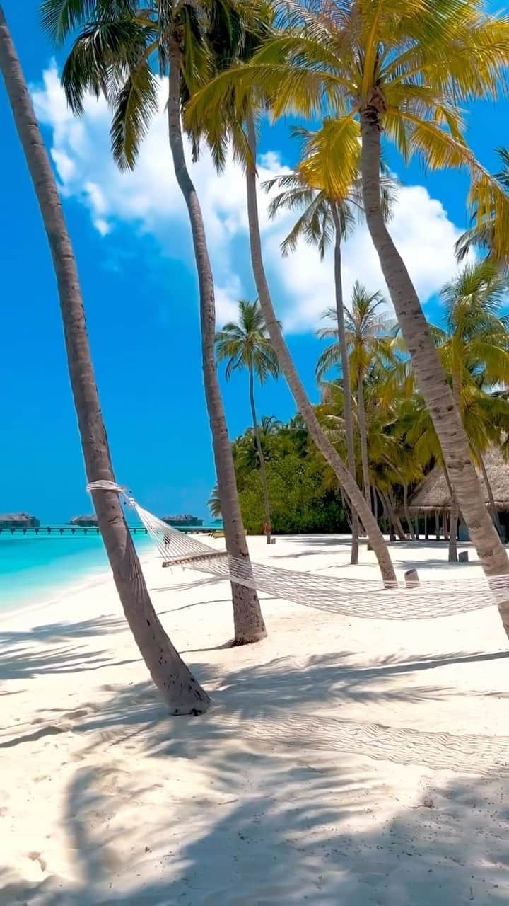 Maldivesのインスタグラム