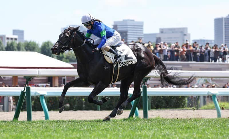 古川奈穂さんのインスタグラム写真 - (古川奈穂Instagram)「土曜日、日曜日と札幌競馬場で騎乗させて頂きました。 乗せてくださった関係者の皆様、応援してくださった皆様、ありがとうございました。  日曜日にグランツベリー号で勝たせていただきました。 毎レース一生懸命走ってくれるのですが勝ちきれないレースが続いていたので、最後勝つことができて良かったです😊 関係者の皆様、ありがとうございました🙇‍♀️ そして、今回も全力で頑張ってくれたグランツベリー号にありがとうと伝えたいです☺️  夏の北海道競馬が終わりました。勝ちきれないレースも多く、課題も沢山ありますが、先輩方から色々なお話を聞かせて頂いてアドバイスも沢山頂きました🙇‍♀️ とても貴重な経験ができた北海道滞在でした。  秋競馬も全力で頑張りますので、よろしくお願いいたします🏇  (無事栗東に戻ってきました⛴️→🚗)  写真はGallopさんにお借りしました。  #札幌競馬場  #夏競馬  #ありがとうございました   #グランツベリー」9月4日 22時35分 - naho_furukawa_official