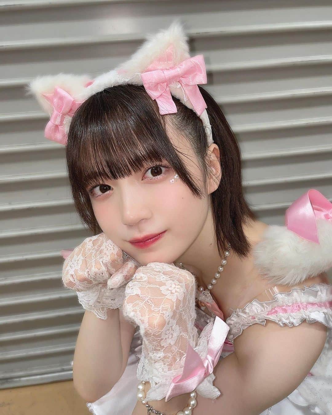 坂本真凛のインスタグラム：「🐈💖💖💖 #idol #cosplay #アイドル衣装」