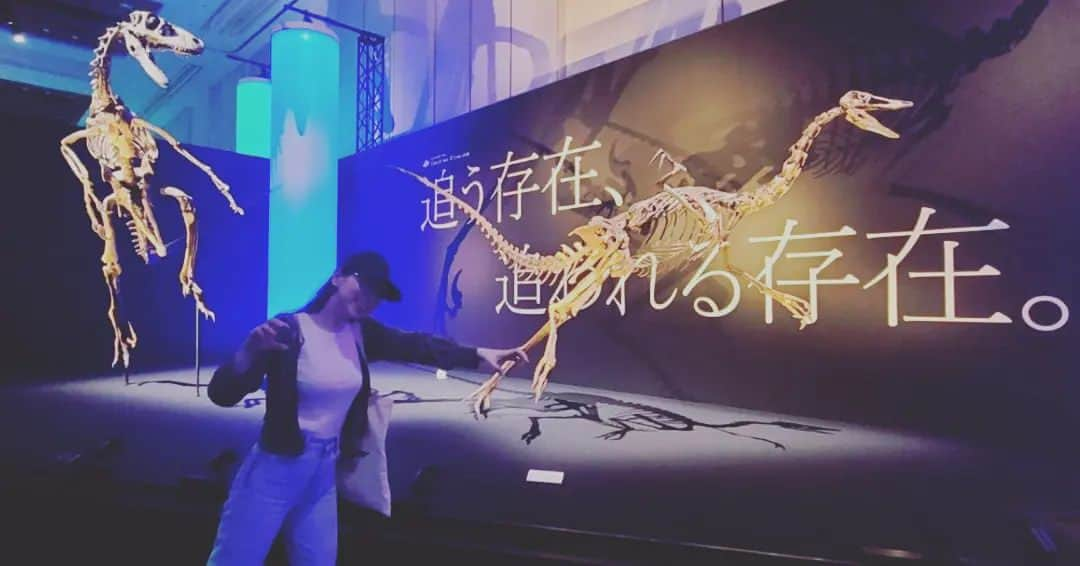 鶴あいかさんのインスタグラム写真 - (鶴あいかInstagram)「#DinoScience #恐竜科学博  ⁡楽しかったー！⁡  ⁡そんなに詳しくないけど、やっぱり実寸大の恐竜の標本を目の前にすると圧倒的で、展示会は図鑑じゃ味わえない感動があるんですよね。⁡ ⁡ ここまでの規模で開催できるのは今年が最後かもしれないと聞いて寂しい気持ちです。⁡ ⁡本当に行けて良かった✨⁡ ⁡⁡ ⁡次はどこで  #恐竜 に会えるかなぁ🦕   ⁡ ⁡⁡ ⁡」9月4日 23時06分 - tsuru_aika