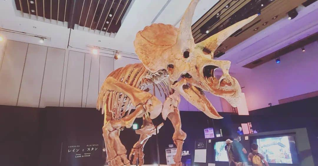 鶴あいかさんのインスタグラム写真 - (鶴あいかInstagram)「#DinoScience #恐竜科学博  ⁡楽しかったー！⁡  ⁡そんなに詳しくないけど、やっぱり実寸大の恐竜の標本を目の前にすると圧倒的で、展示会は図鑑じゃ味わえない感動があるんですよね。⁡ ⁡ ここまでの規模で開催できるのは今年が最後かもしれないと聞いて寂しい気持ちです。⁡ ⁡本当に行けて良かった✨⁡ ⁡⁡ ⁡次はどこで  #恐竜 に会えるかなぁ🦕   ⁡ ⁡⁡ ⁡」9月4日 23時06分 - tsuru_aika